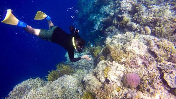 Hotel Batu Ampar Menjangan Banyuwedang Zewnętrze zdjęcie